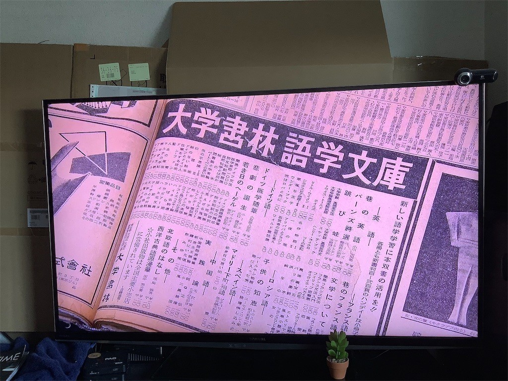 f:id:knnkanda:20190409144220j:image