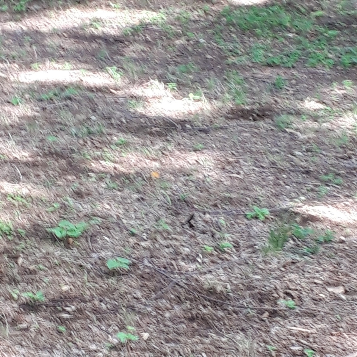 f:id:knocco:20190905095505j:plain f:id:knocco:20190905095505j:plain