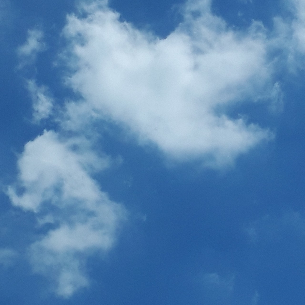 f:id:knocco:20190906122310j:plain f:id:knocco:20190906122310j:plain