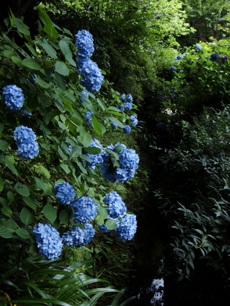 f:id:knockeye:20090627132953j:image f:id:knockeye:20090627132953j:image