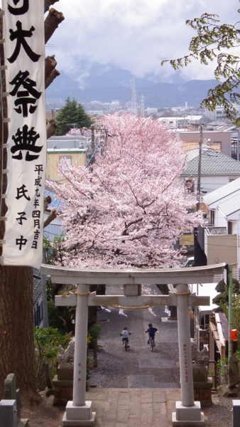 f:id:knockeye:20110409184710j:image f:id:knockeye:20110409184710j:image