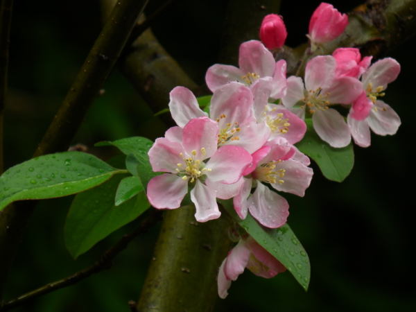 f:id:knockeye:20110409193523j:image f:id:knockeye:20110409193523j:image