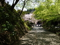 [鎌倉]妙本寺