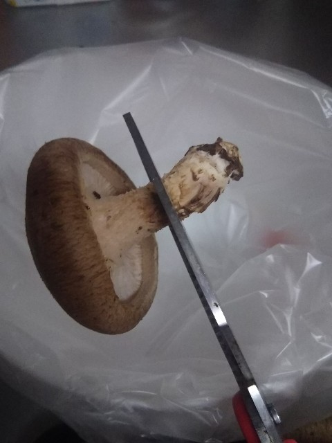 f:id:knockinh:20190618232825j:image