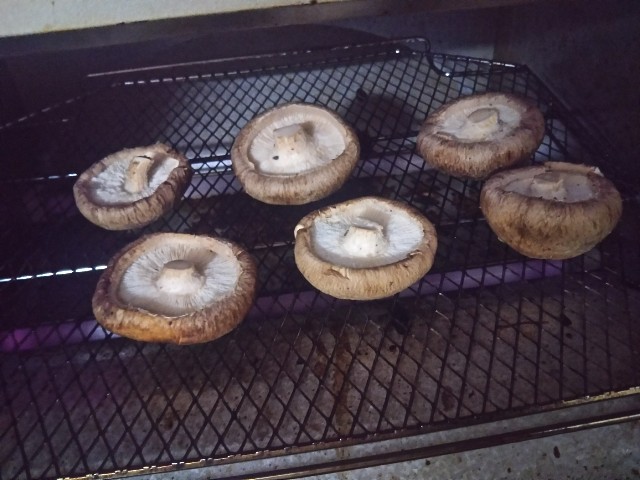 f:id:knockinh:20190618232922j:image