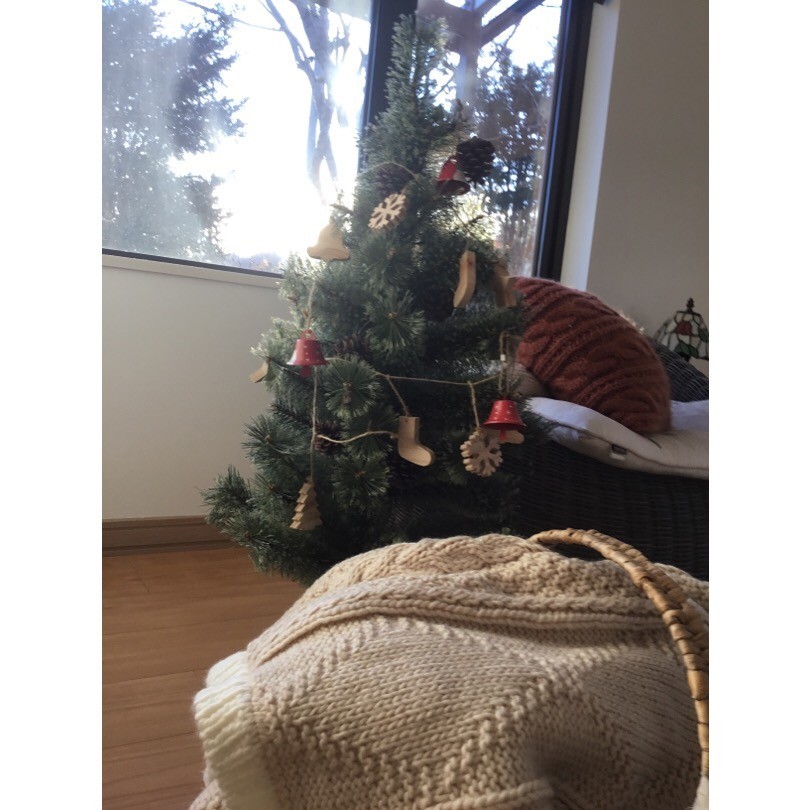 f:id:knori:20181202161313j:plain f:id:knori:20181202161313j:plain