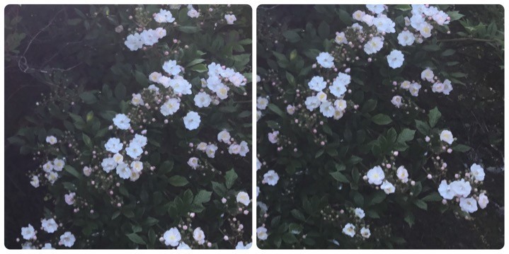 f:id:knori:20190709201643j:plain f:id:knori:20190709201643j:plain
