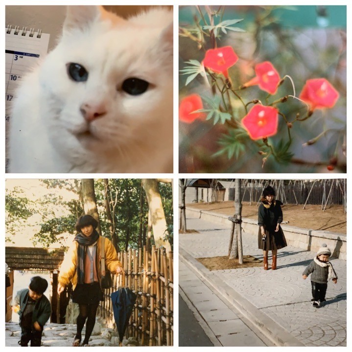 f:id:knori:20191203202016j:plain