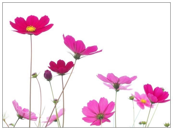 f:id:knori:20200223155540j:plain f:id:knori:20200223155540j:plain