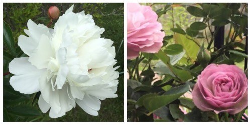 f:id:knori:20210628140931j:plain