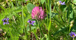 f:id:knori:20210628183020p:plain