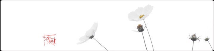 f:id:knori:20210910215540j:plain