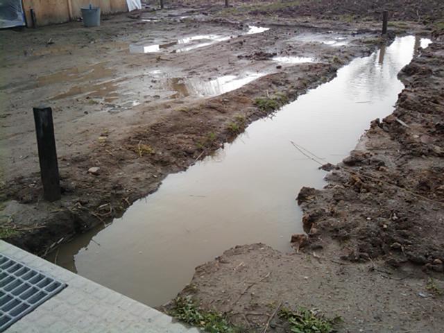 f:id:knovlow:20100321080829j:image