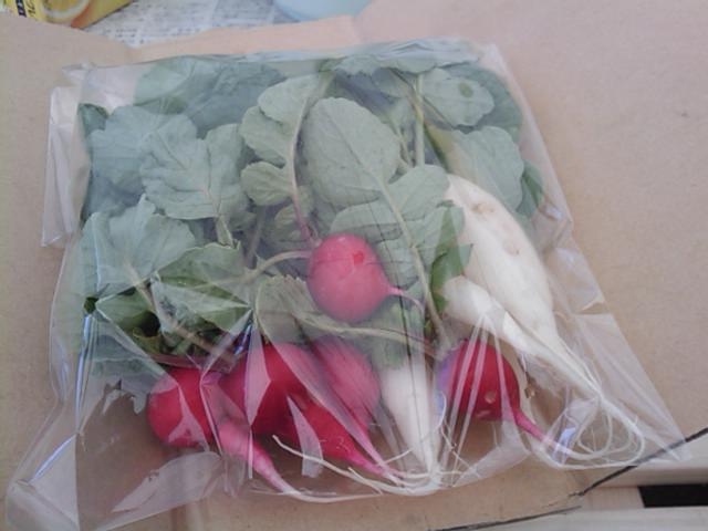 f:id:knovlow:20110414113404j:image f:id:knovlow:20110414113404j:image