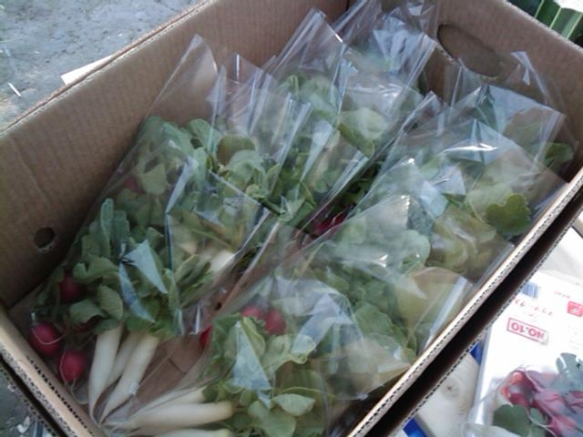 f:id:knovlow:20110414180436j:image f:id:knovlow:20110414180436j:image