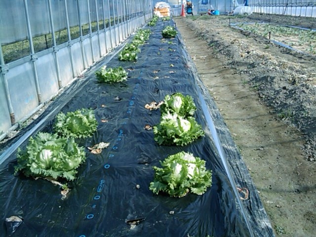 f:id:knovlow:20110415083346j:image f:id:knovlow:20110415083346j:image