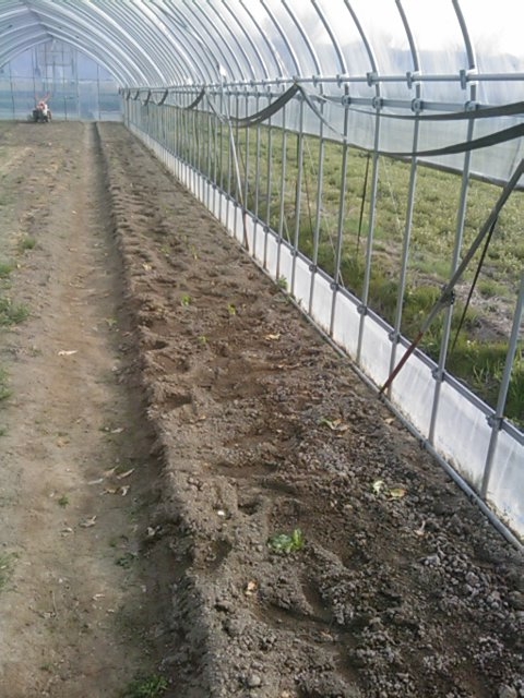 f:id:knovlow:20110417162653j:image f:id:knovlow:20110417162653j:image