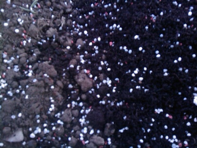 f:id:knovlow:20110419181714j:image f:id:knovlow:20110419181714j:image