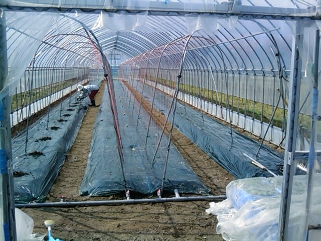 f:id:knovlow:20110426090551j:image f:id:knovlow:20110426090551j:image