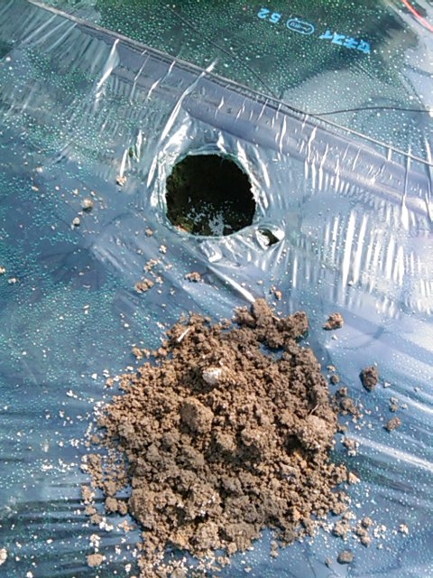 f:id:knovlow:20110426090634j:image f:id:knovlow:20110426090634j:image