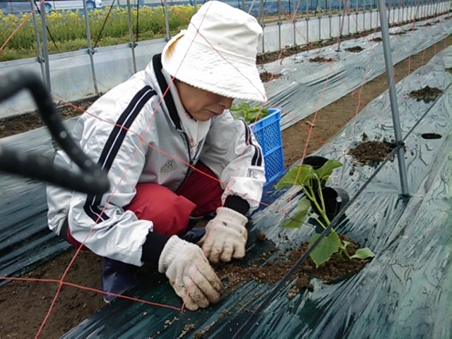 f:id:knovlow:20110426095556j:image f:id:knovlow:20110426095556j:image