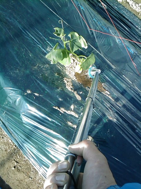 f:id:knovlow:20110429160935j:image f:id:knovlow:20110429160935j:image