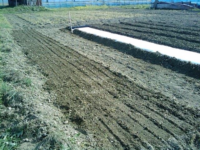 f:id:knovlow:20110508154859j:image