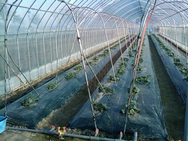 f:id:knovlow:20110508173410j:image