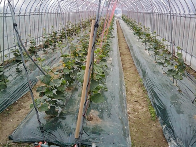 f:id:knovlow:20110523090843j:image
