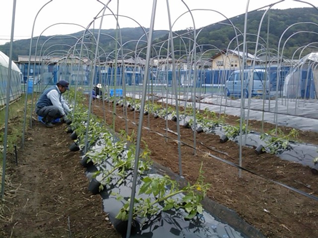 f:id:knovlow:20110523110046j:image