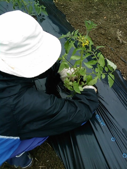 f:id:knovlow:20110523110348j:image
