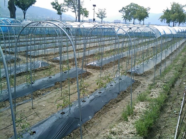 f:id:knovlow:20110603100535j:image
