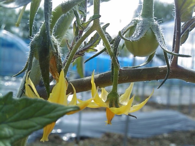 f:id:knovlow:20110603100738j:image