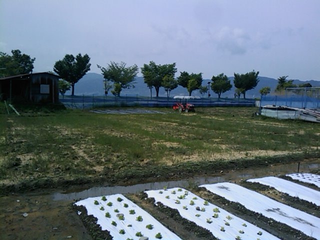 f:id:knovlow:20110603101103j:image