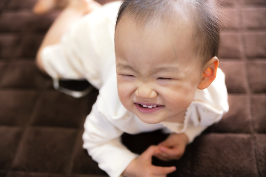 f:id:knowhow-takuma:20190107062220j:plain f:id:knowhow-takuma:20190107062220j:plain