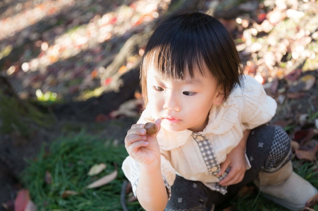 f:id:knowhow-takuma:20190114084935j:plain f:id:knowhow-takuma:20190114084935j:plain