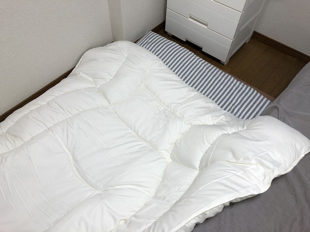 f:id:knowhow-takuma:20190121113330j:plain f:id:knowhow-takuma:20190121113330j:plain