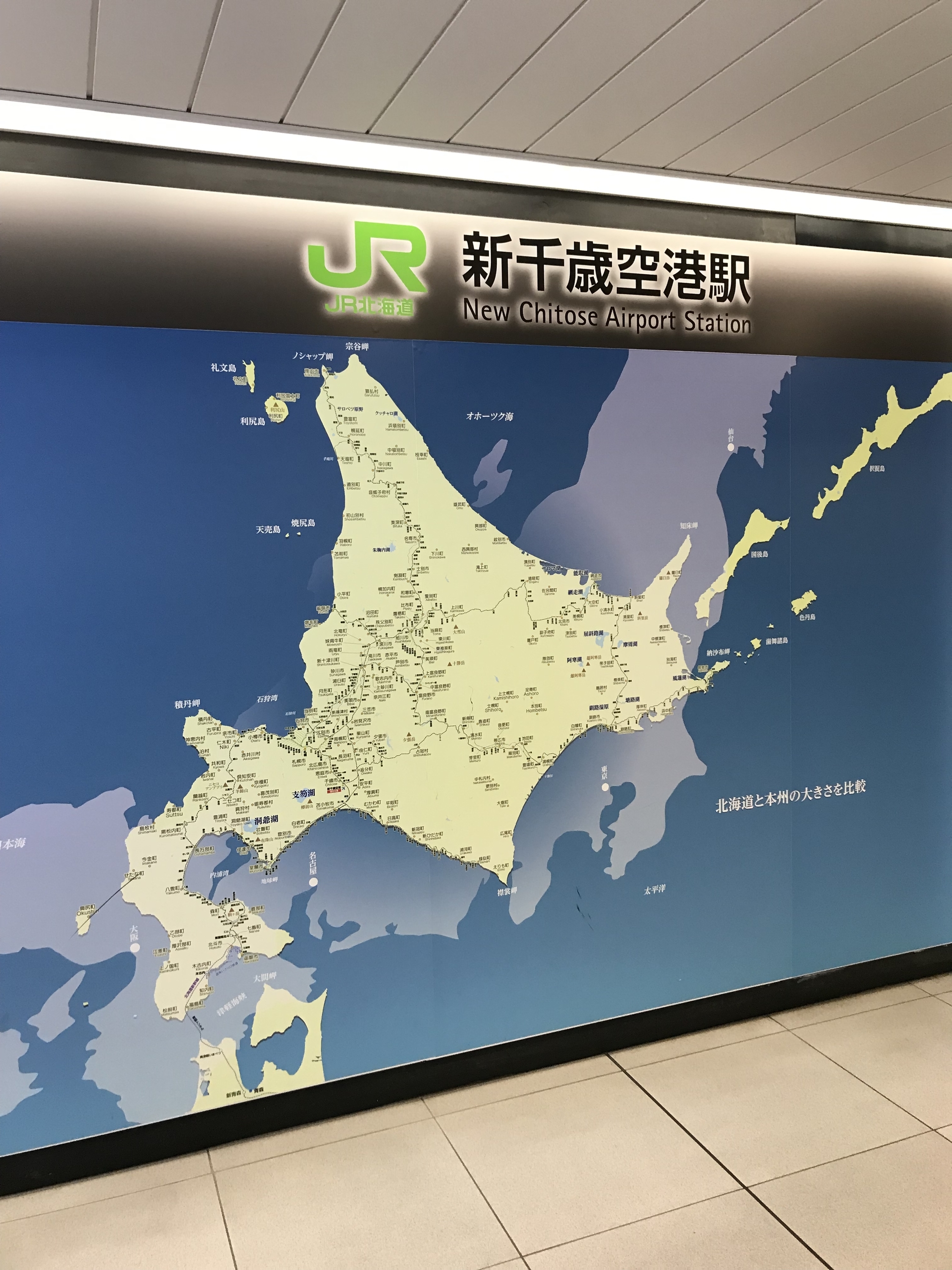 f:id:knsk_seaweed:20190625232336j:plain f:id:knsk_seaweed:20190625232336j:plain