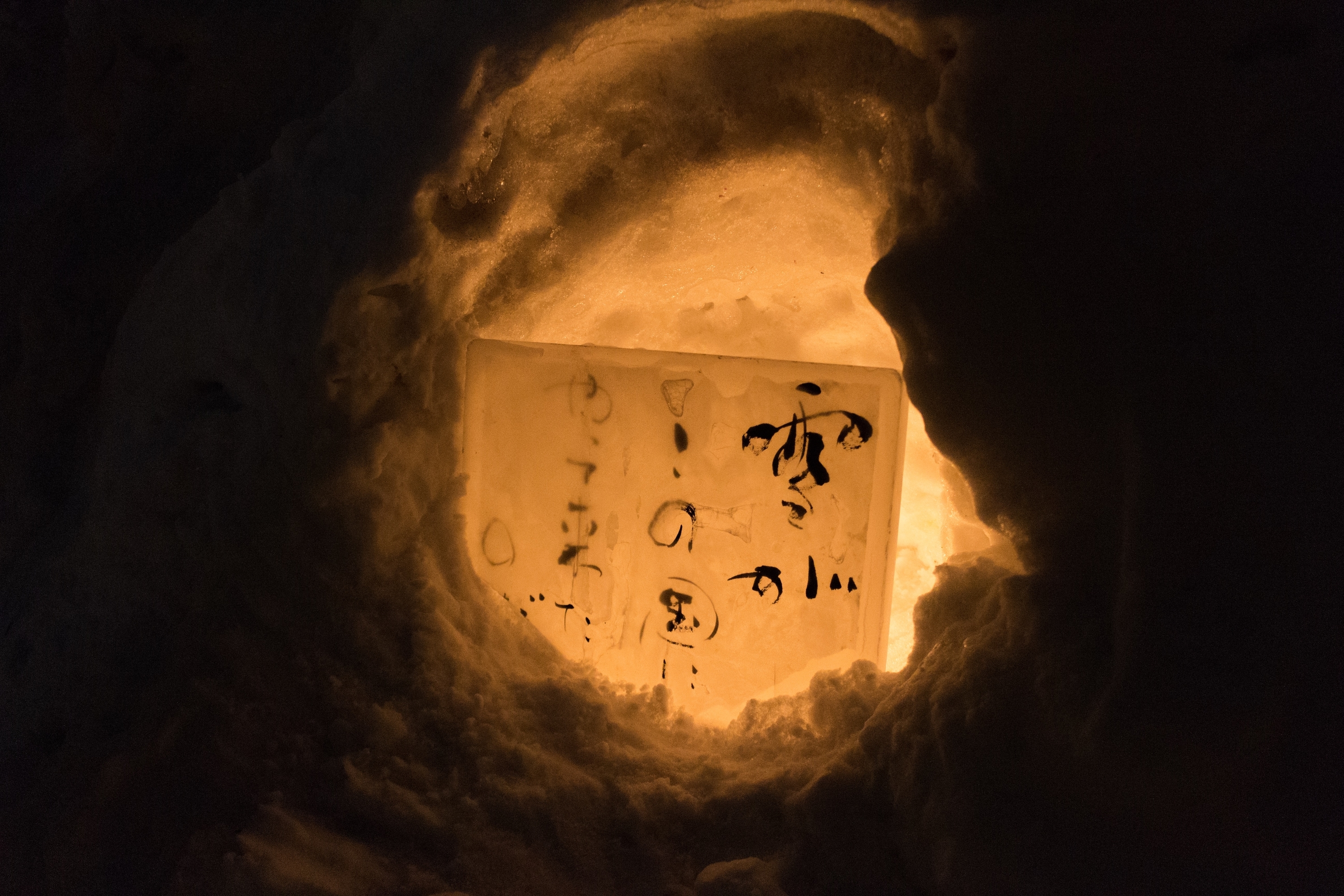 f:id:knsk_seaweed:20190626215735j:plain f:id:knsk_seaweed:20190626215735j:plain