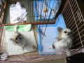 20090922121203