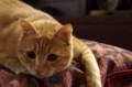 20120125224313