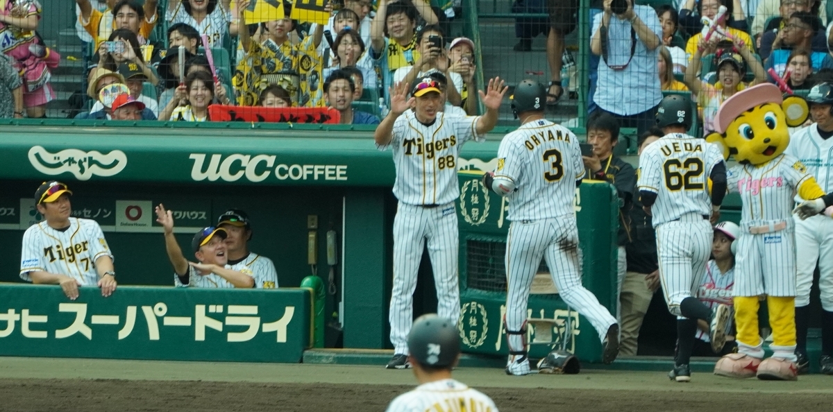 f:id:knta-0126:20200223002511j:plain