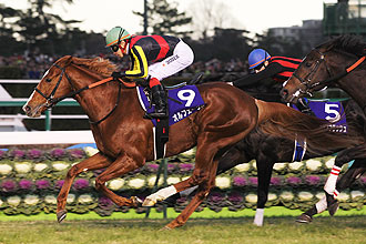 【限定品】ホースレーシング2018　キタサンブラック 有馬記念 ウマ娘 アイドルホース【キタサンブラック/有馬記念】(Mサイズ