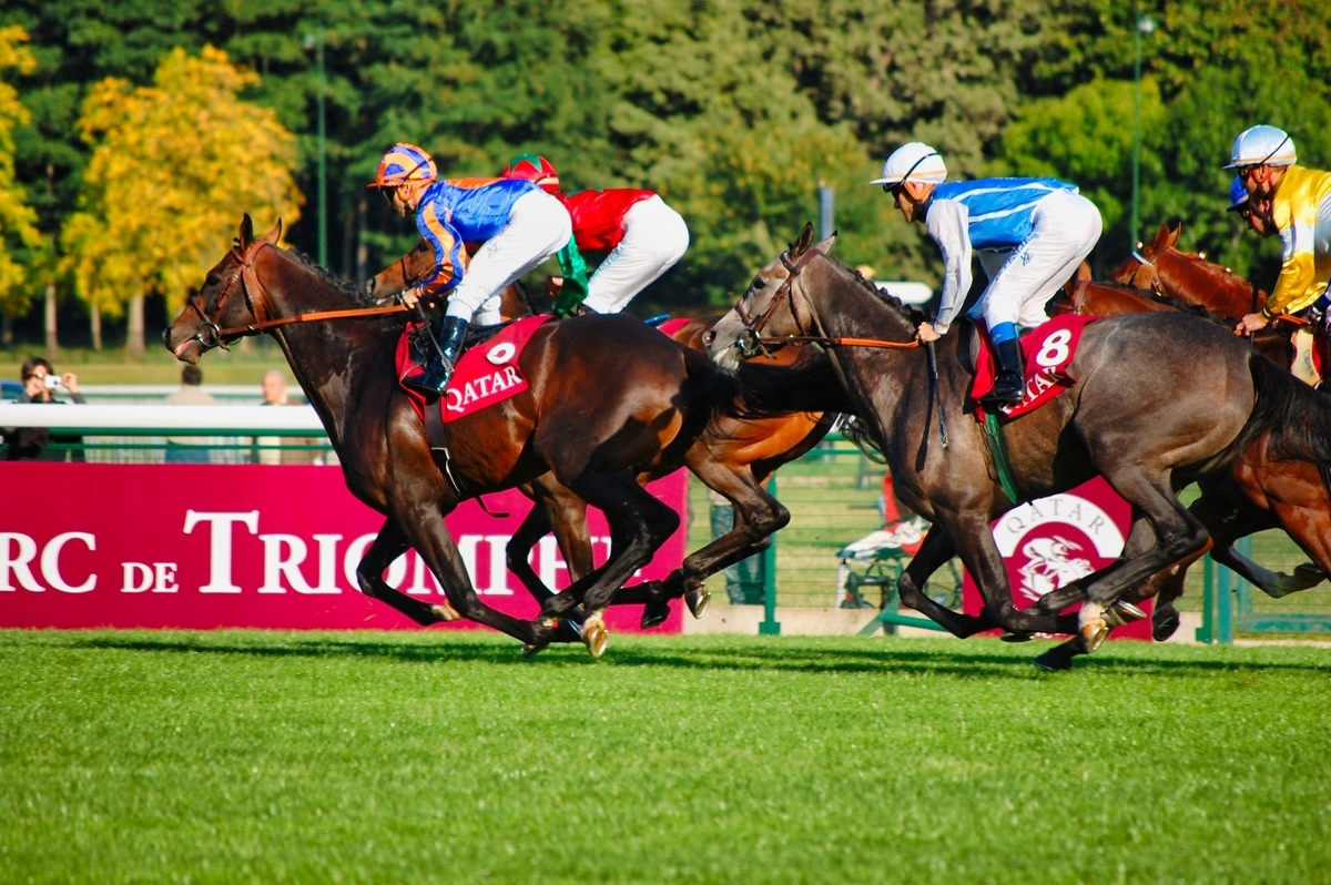 馬はカッコイイ 思わず見惚れる馬の画像まとめ 随時更新 パカラポニ