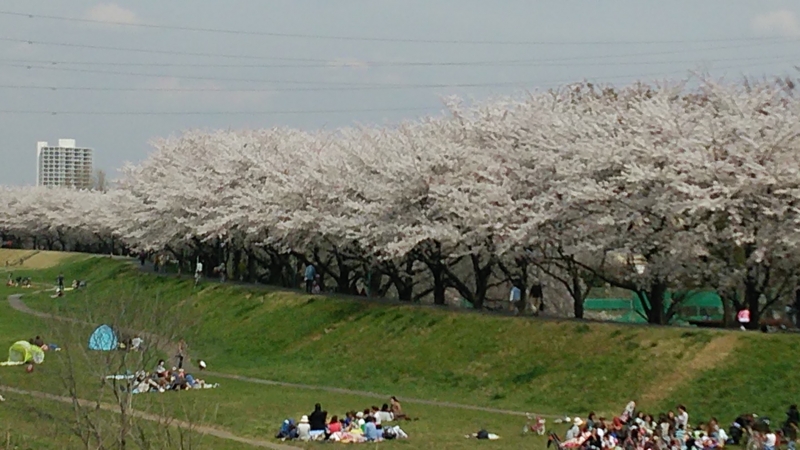 f:id:kntthachioji:20140402121417j:image:w360:left