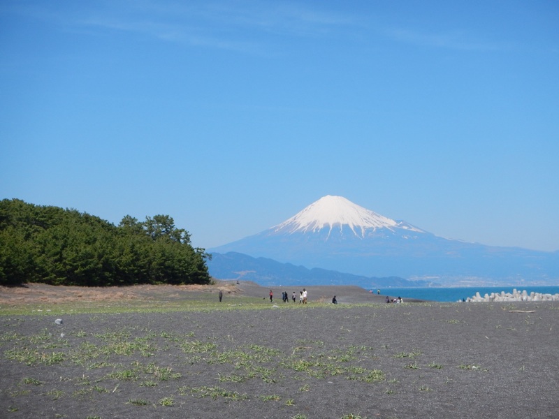 f:id:kntthachioji:20140414155841j:image:w640
