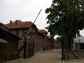 [世界遺産]　AUSCHWITS CONCENTRATION CAMP／Entrance