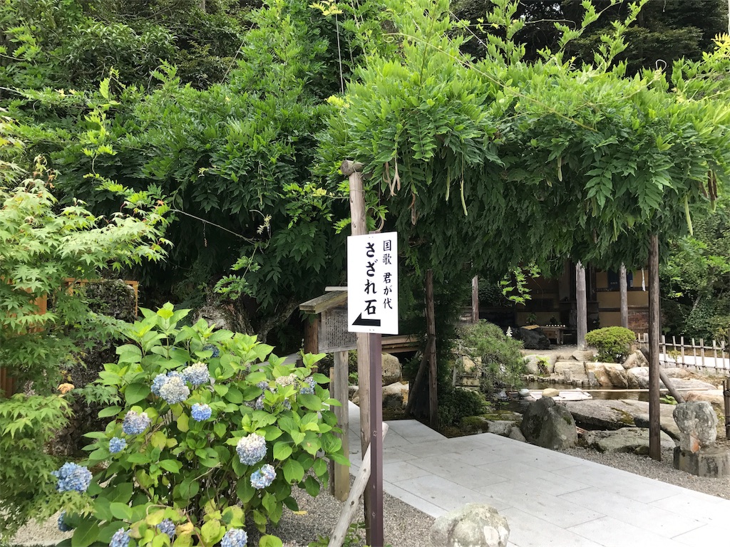 f:id:ko-chanblog95:20170729094734j:image f:id:ko-chanblog95:20170729094734j:image