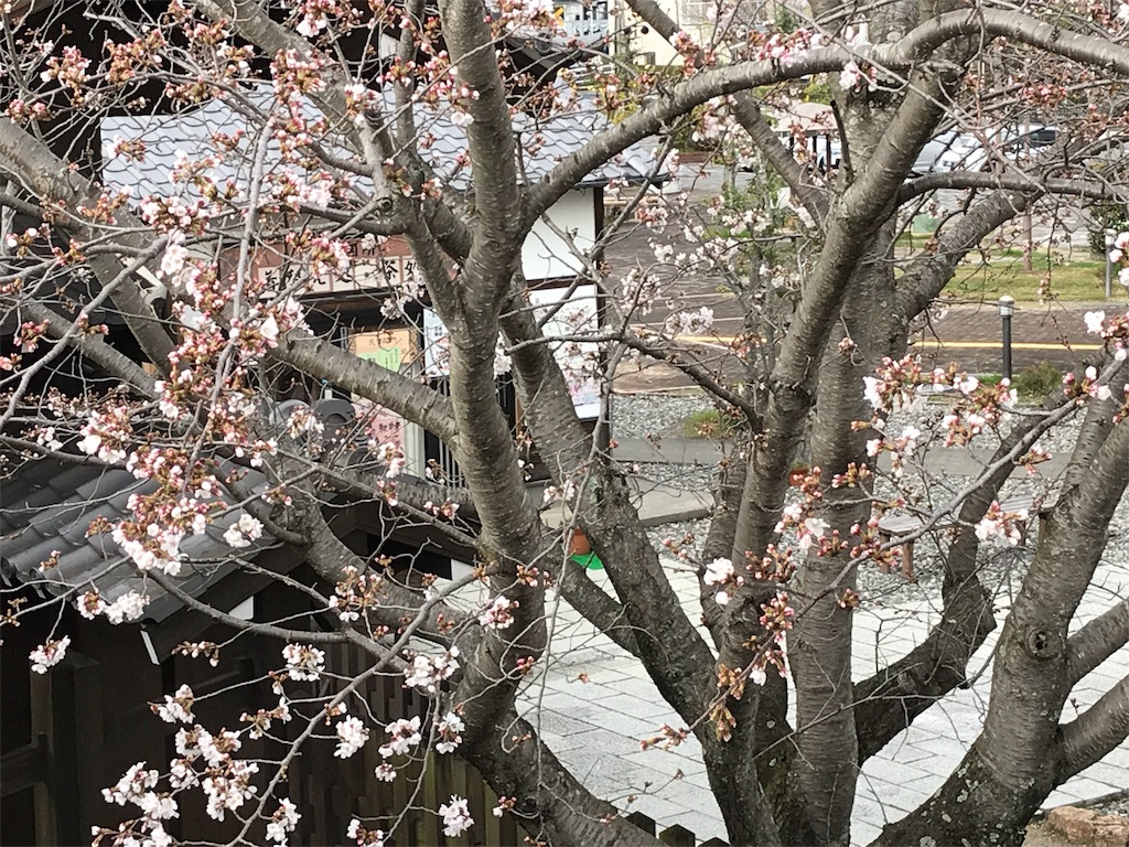 f:id:ko-chanblog95:20180326225038j:image f:id:ko-chanblog95:20180326225038j:image