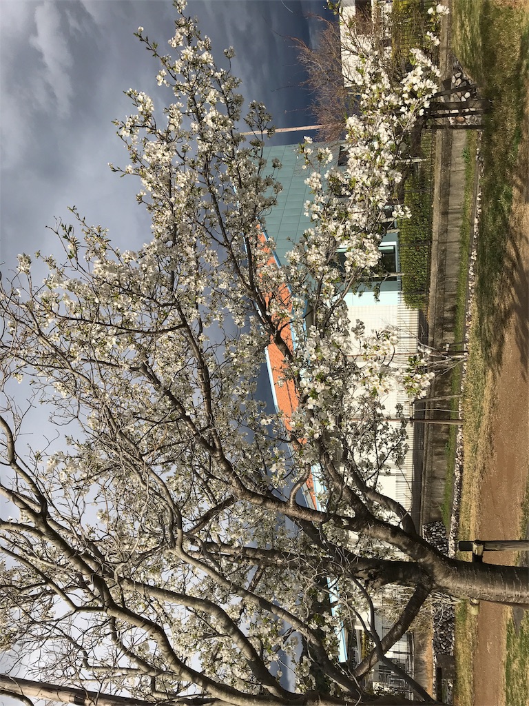 f:id:ko-chanblog95:20180326225322j:image f:id:ko-chanblog95:20180326225322j:image